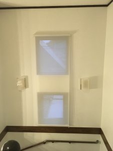 IMG_0335